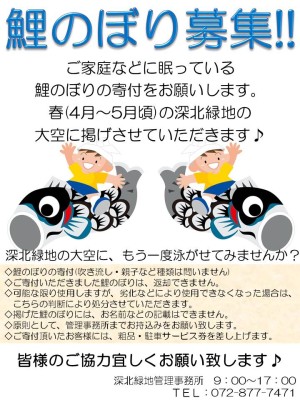 ご家庭で眠っている鯉のぼり募集!!|深北緑地 | テニスコート、サッカー
